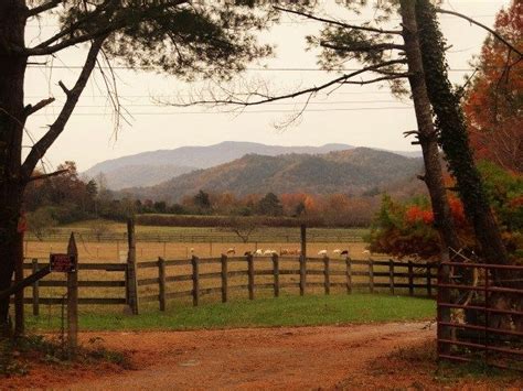 Little River Campground Townsend Tennessee: Your Smoky Mountain Escape