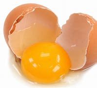 Image result for in the egg