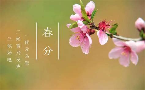 【微海报】春分｜最是一年春好处，也愿你风光如故～_腾讯新闻