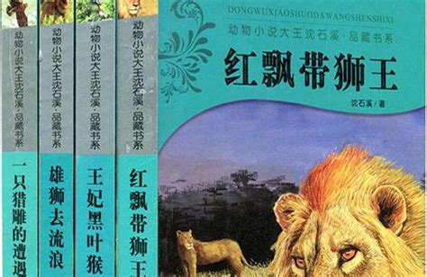 《红飘带狮王》读后感赏析600字 - 百家笔记网