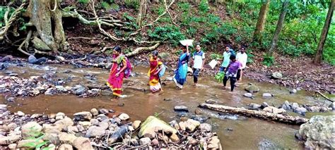 Efforts to protect vulnerable tribes from extinction intensified ...