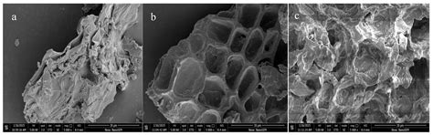 Ultrasound-Assisted Deep Eutectic Solvent Extraction of Flavonoids from ...