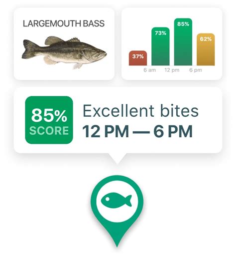 New Hampshire Fishing License: Costs, Types & How to Obtain