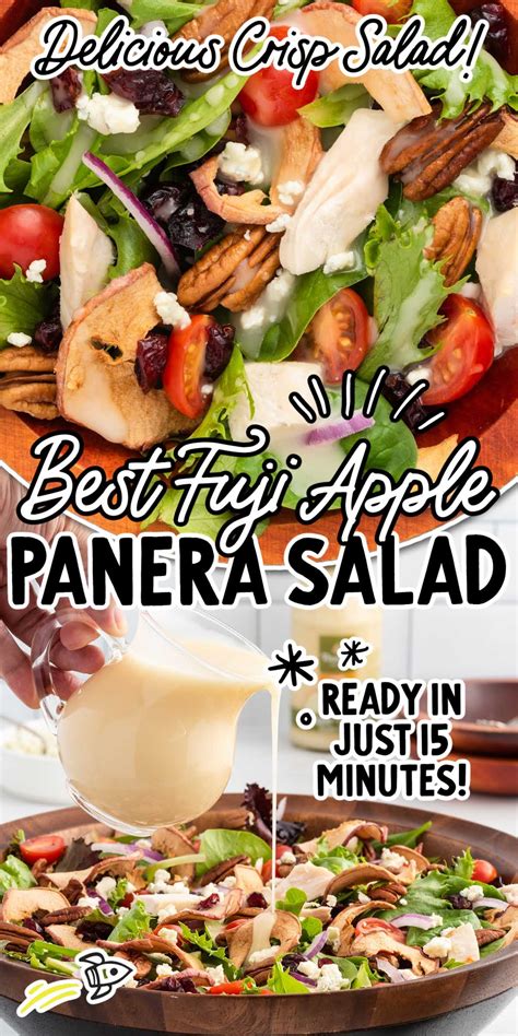 Fuji Apple Panera Salad - Spaceships and Laser Beams
