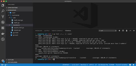Image result for Blockman Go Testing
