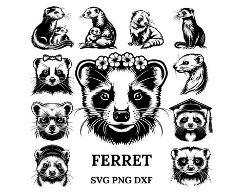 Buy Ferret Svg Bundle , Ferret Svg , Ferret Png, Ferret Clipart, Ferret ...