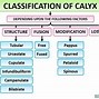 Image result for calyx