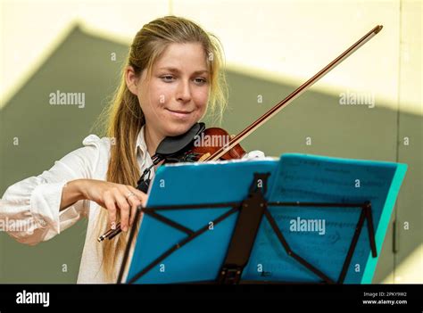 Image result for Classical String Trio