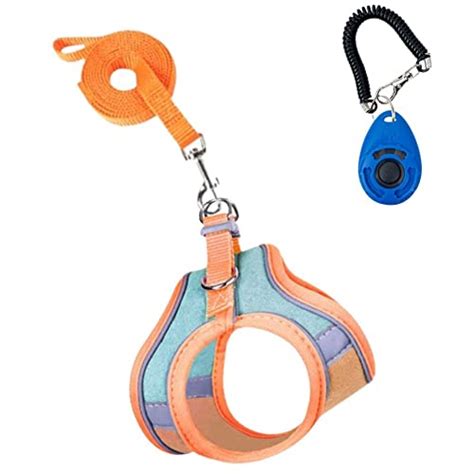 Amazon.in Bestsellers: The most popular items in Cat Harnesses