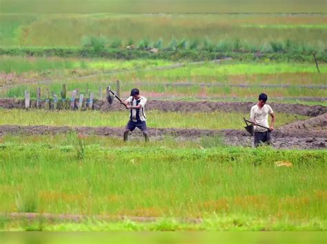 Vardhman Polytex - These 7 stocks under Rs 50 turned multibaggers in ...