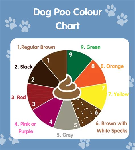 Animal Feces Chart