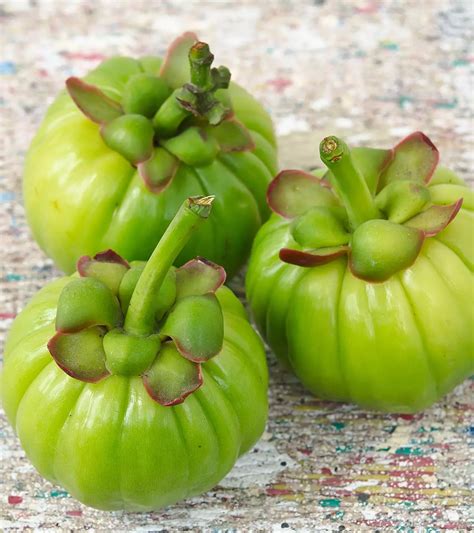 Itchy Breasts While Breastfeeding: 7 Causes & Relief Tips