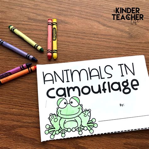 Camouflage In A Sentence