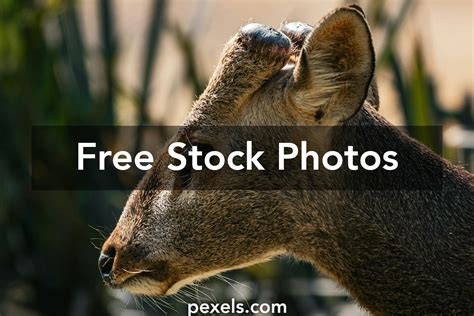 LinkedIn Background Images Finance 的图像结果