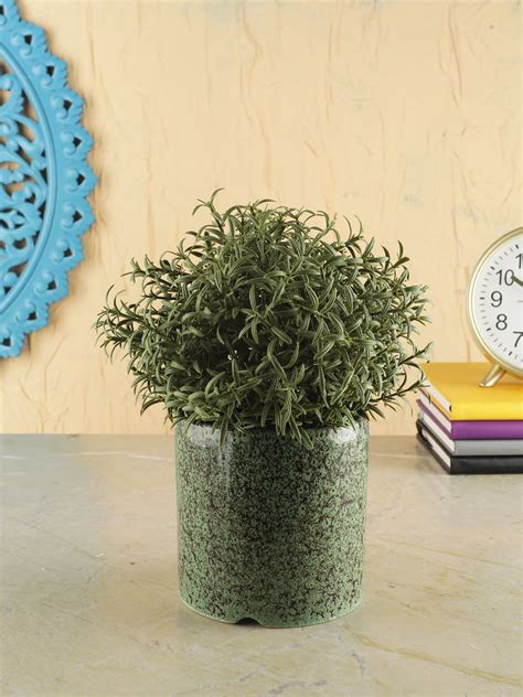 VarEesha Foliage Green Ceramic Cylindrical Planter