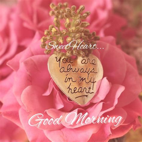 70 + Romantic Good Morning Love Images, Pictures with Love Message