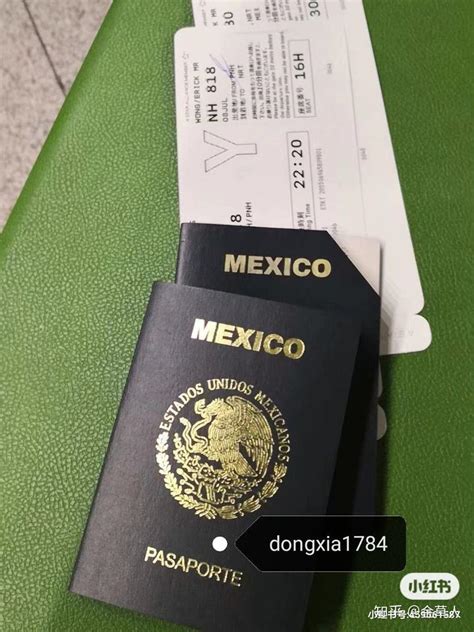 墨西哥护照流程 - 知乎