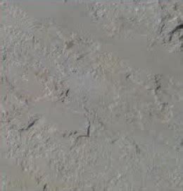 Kandla Grey Kota Stone (Kandla Grey Kota Stone)