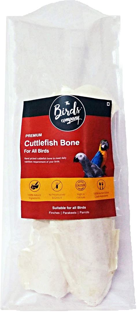 Buy The Birds Company Premium Cuttlefish Bone, High Calcium for Budgies ...