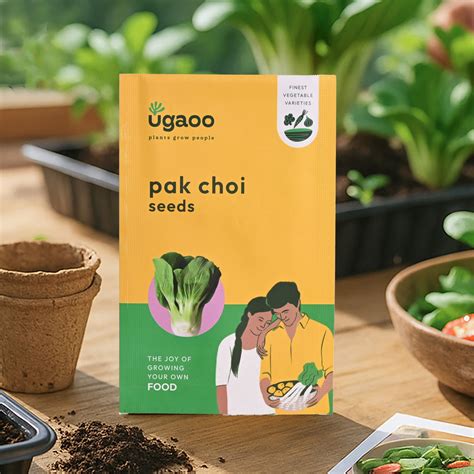 Pak Choi Seeds – Ugaoo