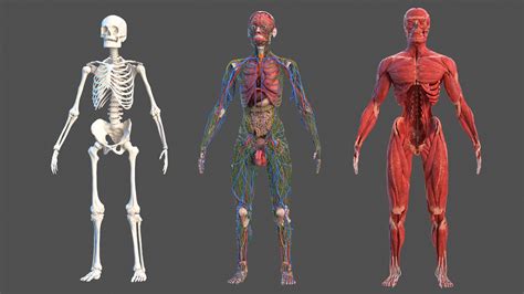 Image result for Anatomy of a Function in JavaScript