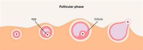 What does ovulation pain feel like?