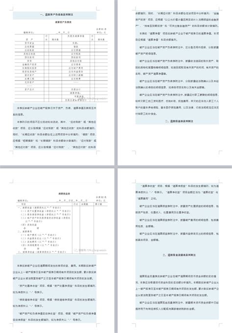 资产清算报告模板,清查,(第12页)_大山谷图库