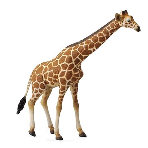 Collecta Wildlife Reticulated Giraffe Toy Figure - Authentic Hand Pain ...