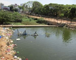 Environmental flow assessment in a lotic ecosystem of Central Western ...