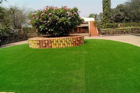 Imported Plants & Live Trees in Wadala dadar matunga, Sion, Kurla ...