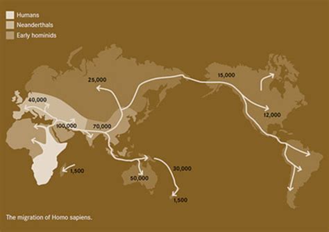 Human Migration Timeline Map 的图像结果