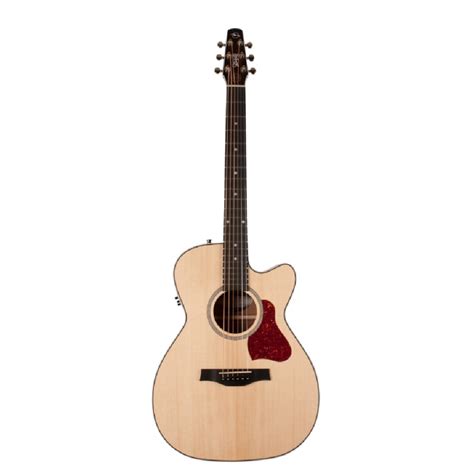 Buy Best Premium Acoustic Guitars Online in India | Bajaao