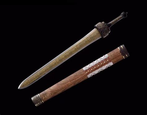 ancient sword costume