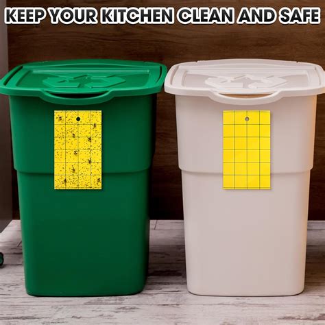 Qualirey 150 Pcs Yellow Sticky Trap for Gnats 3 x India | Ubuy