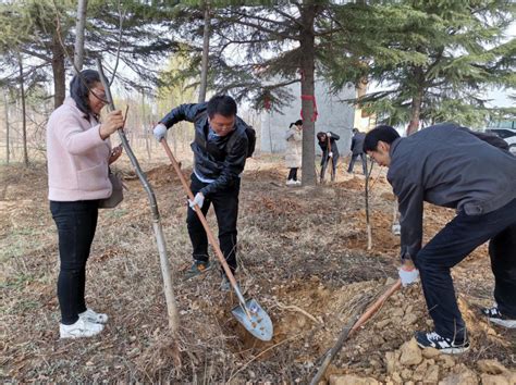 春暖花开，兴业开始插秧了！_早稻_凤山村_种植