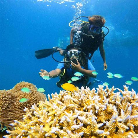 RADHANAGAR BEACH (2025) All You Need to Know BEFORE You Go (with Photos ...