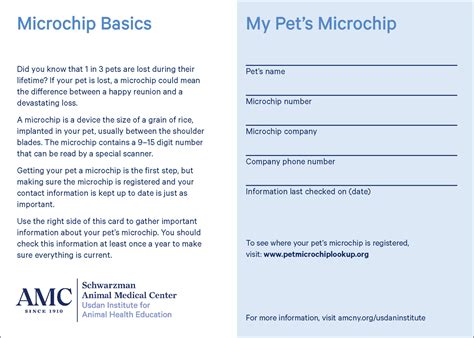 How Do You Check If My Dogs Microchip Is Registered