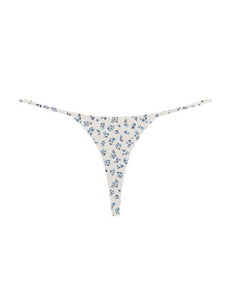 Image result for String Bresil