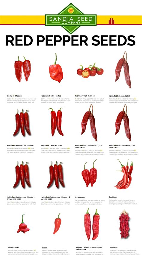 Types of peppers pepper varieties – Artofit