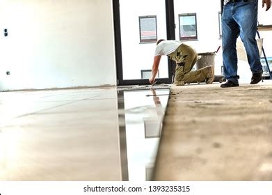 Image result for Damp Course Problems