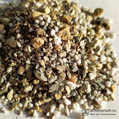 Грунт для суккулентов - Все для флорариума