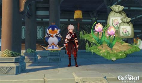 All Genshin Impact Rainbow Rose Locations, How To Get & Use
