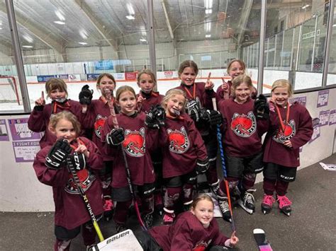 Stillwater Area Hockey Association