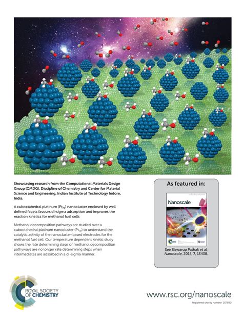 Profile | Dr. Biswarup Pathak