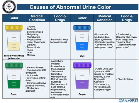 Causes Of Green Urine In Male