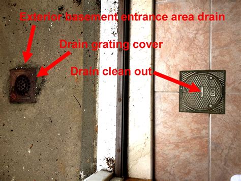 Types Of Basement Floor Drains – Flooring Site