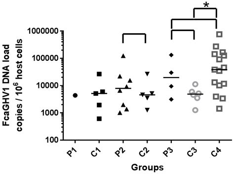 Felis Catus Gammaherpesvirus 1 DNAemia in Whole Blood from ...