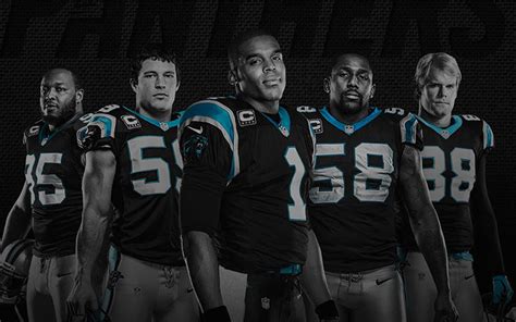 2015 Carolina Panthers wallpaper by jb-online on DeviantArt