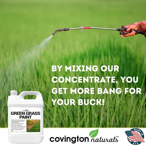 Grass Paint, Lawn Paint to Spray Grass Green, Grass Dye, Grass Spray ...