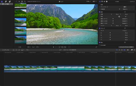 Cinematic lut final cut pro - animefrosd